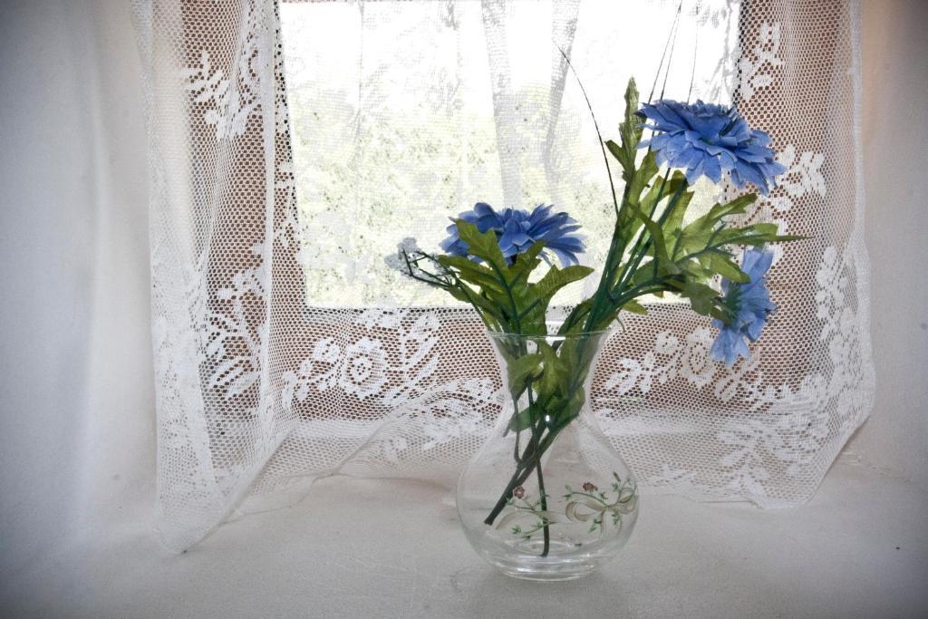 Domaine Le Chec Bed & Breakfast Saint-Ost Екстериор снимка